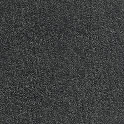 Concept 505 - 300 | Velour | Carpet Concept