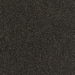 Concept 505 - 317 | Velour | Carpet Concept
