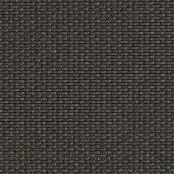 Lay 53373 | Loop-pile | Carpet Concept