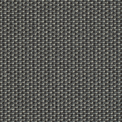 Lay 53419 | Loop-pile | Carpet Concept