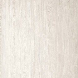 Timber |Timber Ice |  | Neolith