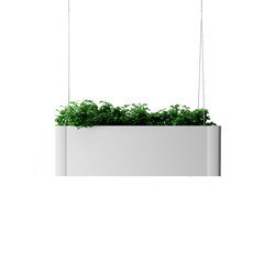Green Light C Hanging | Plant pots | Systemtronic