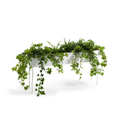 Green Pedestals | Planting | OFFECCT