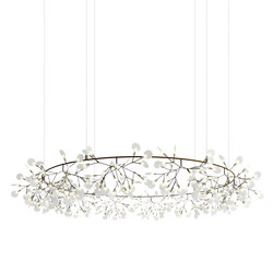 Heracleum The Big O - Big Nickel | Suspended lights | moooi