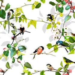 OPHELIA VOILE - 181 | Drapery fabrics | Création Baumann