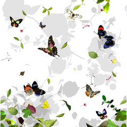 PAPILLON VOILE - 191 | Drapery fabrics | Création Baumann