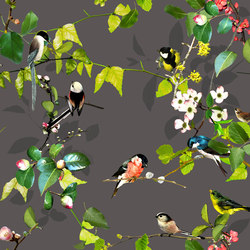OPHELIA - 82 | Upholstery fabrics | Création Baumann