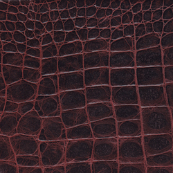 Cayman 03 | Leather tiles | Lapèlle Design