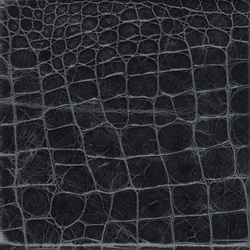 Cayman 12 | Leather tiles | Lapèlle Design