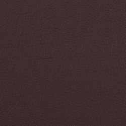 L1020234 | Natural leather | Schauenburg