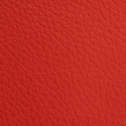 L1030325 | Natural leather | Schauenburg