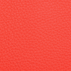 L1030326 | Natural leather | Schauenburg