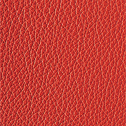 L1040401 | Natural leather | Schauenburg