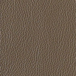 L1040413 | Natural leather | Schauenburg