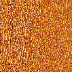 L1040427 | Natural leather | Schauenburg