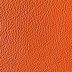 L1040428 | Natural leather | Schauenburg