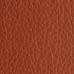 L1040430 | Natural leather | Schauenburg