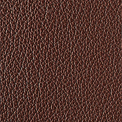 L1040431 | Natural leather | Schauenburg