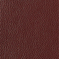 L1040437 | Natural leather | Schauenburg