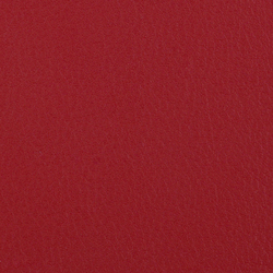 L1050509 | Natural leather | Schauenburg