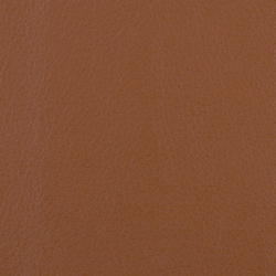L1060613 | Natural leather | Schauenburg