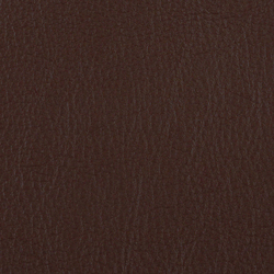 L1060621 | Natural leather | Schauenburg