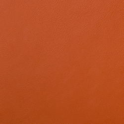 L1060624 | Natural leather | Schauenburg