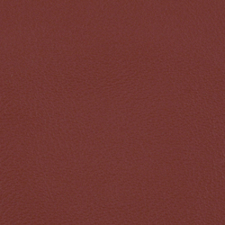 L1060628 | Natural leather | Schauenburg