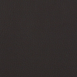 L1060630 | Natural leather | Schauenburg