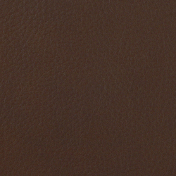 L1060641 | Natural leather | Schauenburg
