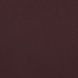 L1060650 | Natural leather | Schauenburg