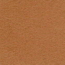 M20101024 | Upholstery fabrics | Schauenburg