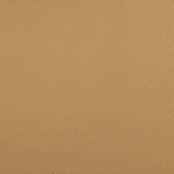 K302200 | Upholstery fabrics | Schauenburg