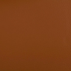 K302225 | Effect leather | Schauenburg