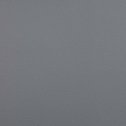 K302910 | Upholstery fabrics | Schauenburg