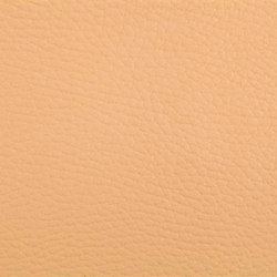 K304170 | Upholstery fabrics | Schauenburg