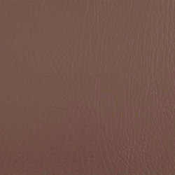 K306160 | Colour brown | Schauenburg