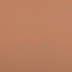 K310155 | Effect leather | Schauenburg