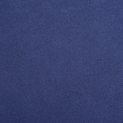 M20303024 | Upholstery fabrics | Schauenburg