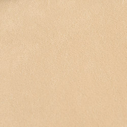 M20101006 | Upholstery fabrics | Schauenburg