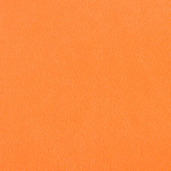 M20101040 | Upholstery fabrics | Schauenburg