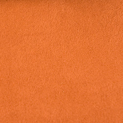 M20101063 | Upholstery fabrics | Schauenburg