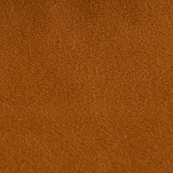 M20101087 | Upholstery fabrics | Schauenburg