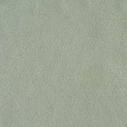 M20101093 | Upholstery fabrics | Schauenburg