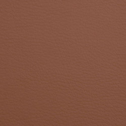 K318225 | Upholstery fabrics | Schauenburg