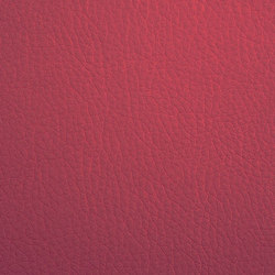 K318540 | Upholstery fabrics | Schauenburg