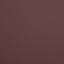 K318580 | Faux leather | Schauenburg