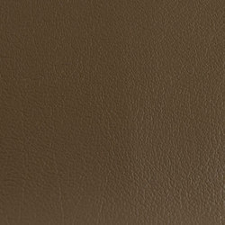 K322930 | Effect leather | Schauenburg