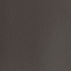 K322999 | Upholstery fabrics | Schauenburg