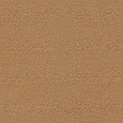 Buckaroo | Malt Scotch | Faux leather | Anzea Textiles